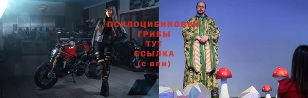 первитин Карпинск